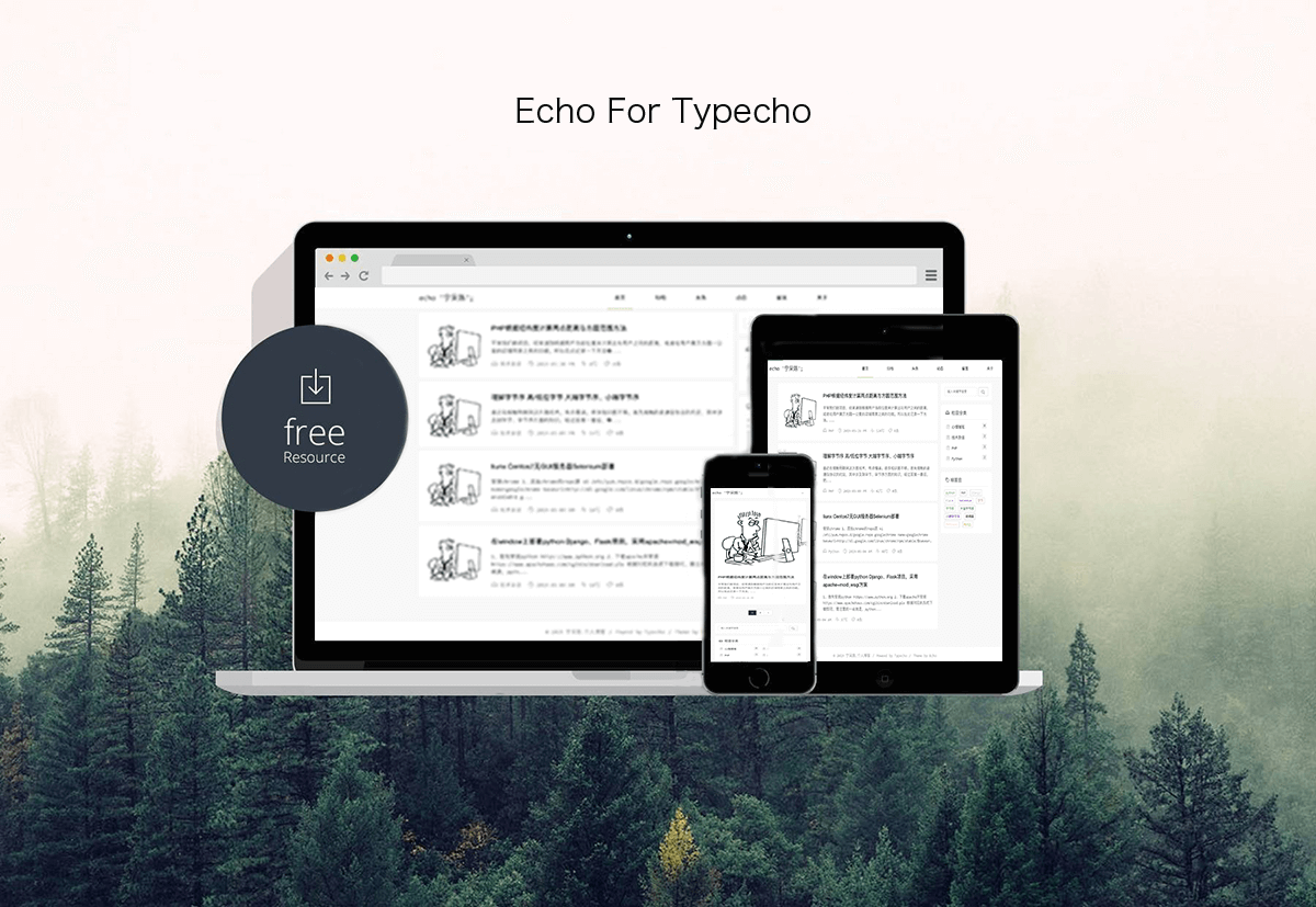 Typecho 主题 Echo v3.1 一个极简主义的极简主题-流口水的鱼