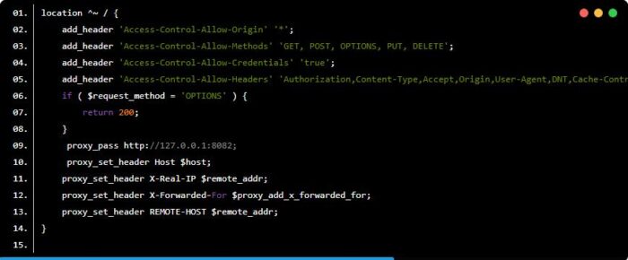 如何在单服务器运行多个RuleApi教程,简简单单五分钟搞定-流口水的鱼