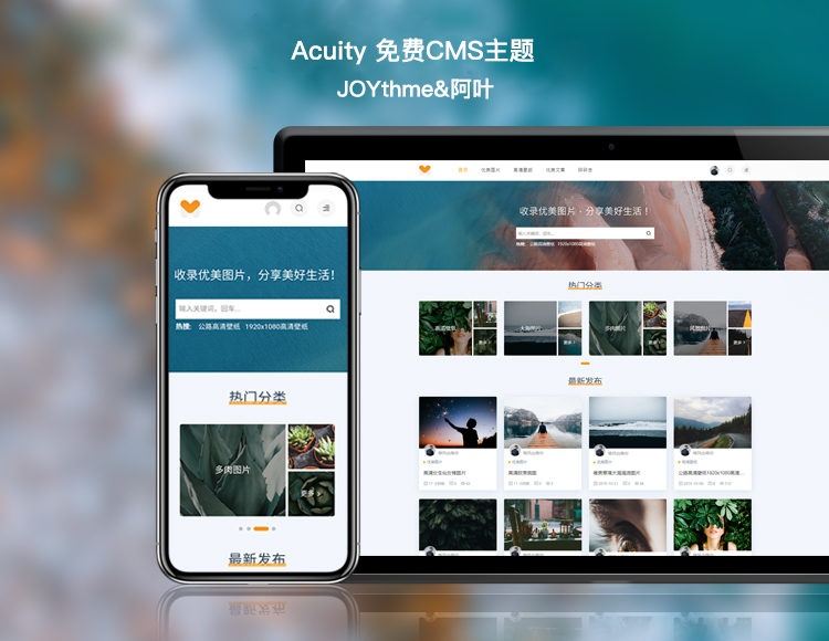 Acuity主题一款界面优美的免费WordPress图片主题-流口水的鱼